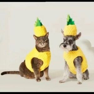 💥 Pet pineapple costume